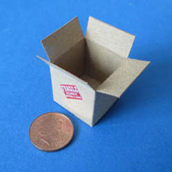 Empty Cardboard Box - Small